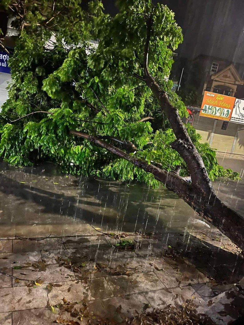 Vĩnh Ph&uacute;c: Giải cứu 3 người mắc kẹt trong b&atilde;o lũ- Ảnh 2.