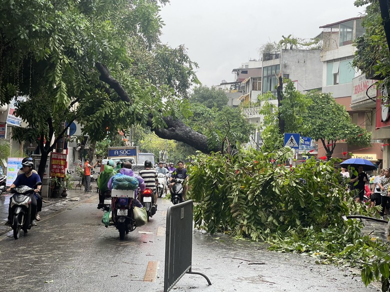 14.000 c&acirc;y xanh g&atilde;y đổ, H&agrave; Nội xuy&ecirc;n đ&ecirc;m dọn dẹp th&ocirc;ng đường- Ảnh 1.