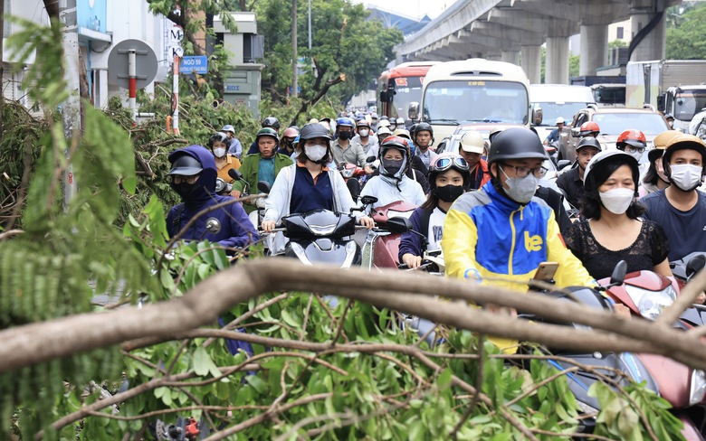 H&agrave; Nội: Nhiều tuyến phố vẫn ngổn ngang c&acirc;y đổ