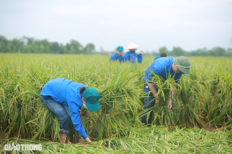 Tập trung tối đa "cứu" ng&agrave;nh n&ocirc;ng nghiệp sau b&atilde;o số 3- Ảnh 1.