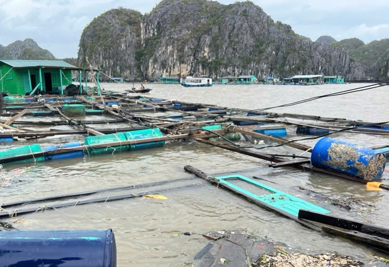 Hải Ph&ograve;ng: Tuyến ph&agrave; ra đảo C&aacute;t B&agrave; hoạt động trở lại sau b&atilde;o số 3- Ảnh 4.