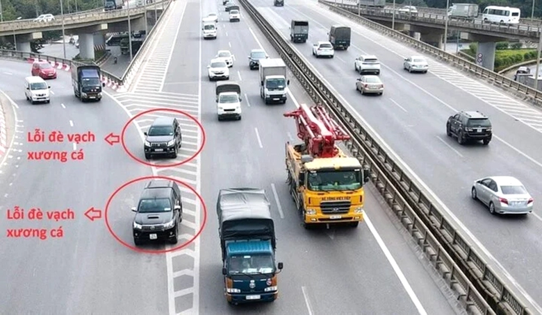 Lỗi đ&egrave; vạch xương c&aacute; tr&ecirc;n đường bị xử phạt thế n&agrave;o?- Ảnh 1.