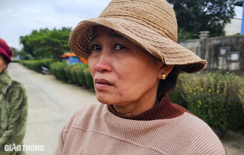 B&igrave;nh Định: H&agrave;ng trăm chậu c&uacute;c chết bất thường ngay trước Tết, người d&acirc;n kh&oacute;c r&ograve;ng- Ảnh 4.