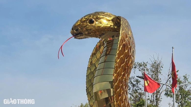 Cận cảnh linh vật rắn v&agrave;ng rực ở Bạc Li&ecirc;u- Ảnh 3.