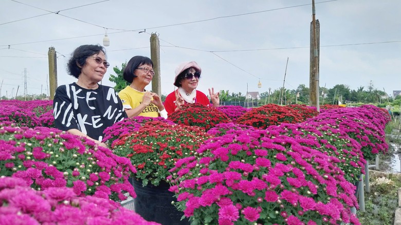 Làng hoa Sa Đéc rộn ràng đón xuân- Ảnh 4. Làng hoa Sa Đéc rộn ràng đón xuân- Ảnh 4.