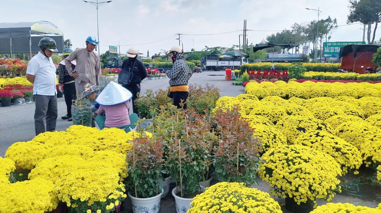 Làng hoa Sa Đéc rộn ràng đón xuân- Ảnh 13. Làng hoa Sa Đéc rộn ràng đón xuân- Ảnh 13.