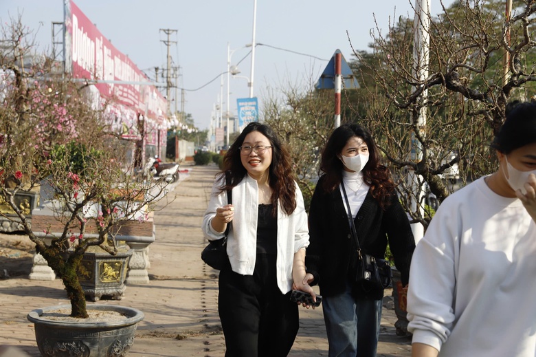 Đ&agrave;o rừng cổ thụ đổ bộ H&agrave; Nội, nhiều c&acirc;y gi&aacute; 200 triệu chờ người mua- Ảnh 10.