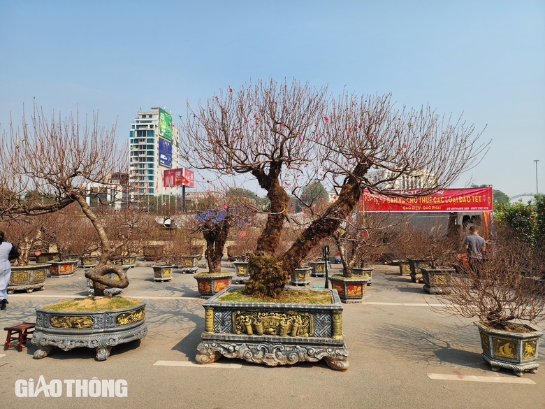 Cận cảnh cặp linh vật "b&eacute; Na" mũm mĩm tại Ph&uacute; Thọ g&acirc;y x&ocirc;n xao cộng đồng mạng- Ảnh 10.