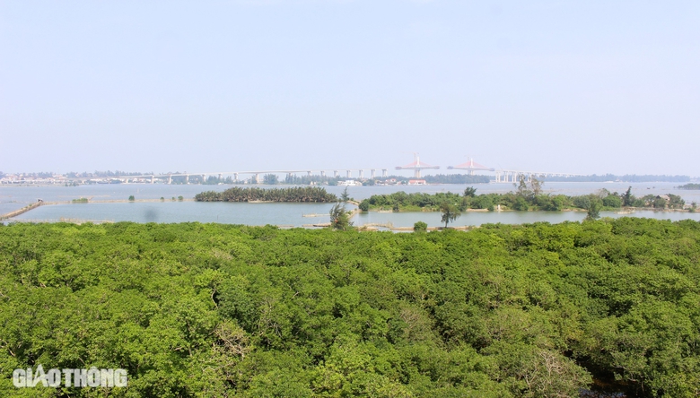 Cận cảnh c&ocirc;ng tr&igrave;nh cầu d&agrave;i 2,3km qua cửa biển ở Huế sắp hợp long- Ảnh 4.
