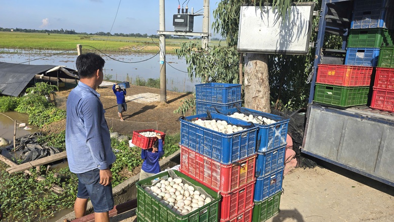 &ldquo;Đời du mục&rdquo; nu&ocirc;i vịt chạy đồng ở miền T&acirc;y- Ảnh 3.