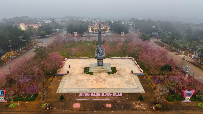 Ngắm mai anh đào nhuộm hồng những con đường ở Măng Đen- Ảnh 10. Ngắm mai anh đào nhuộm hồng những con đường ở Măng Đen- Ảnh 10.