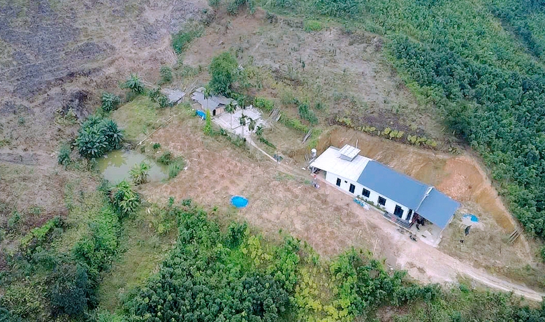 Xót xa những vườn đào khô ở Yên Bái trước dịp Tết- Ảnh 1. Xót xa những vườn đào khô ở Yên Bái trước dịp Tết- Ảnh 1.