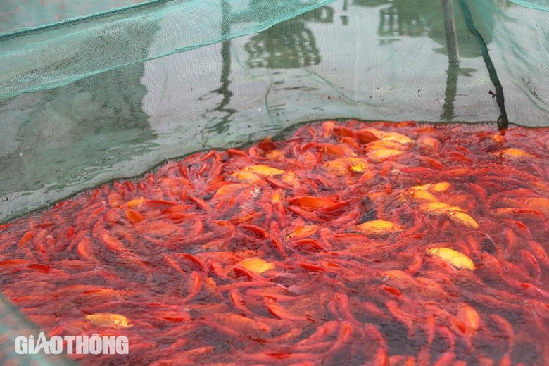L&agrave;ng sản xuất "phương tiện" cho &ocirc;ng C&ocirc;ng, &ocirc;ng T&aacute;o hối hả thu hoạch- Ảnh 2.