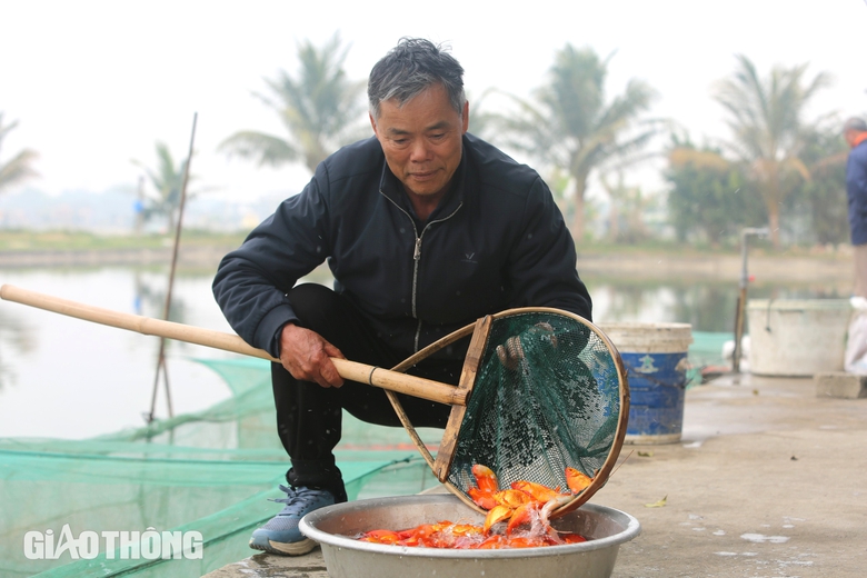 L&agrave;ng sản xuất "phương tiện" cho &ocirc;ng C&ocirc;ng, &ocirc;ng T&aacute;o hối hả thu hoạch- Ảnh 9.