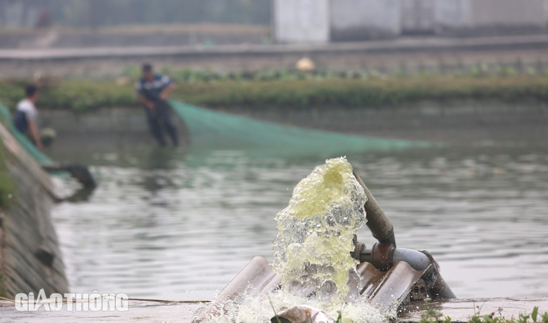 L&agrave;ng sản xuất "phương tiện" cho &ocirc;ng C&ocirc;ng, &ocirc;ng T&aacute;o hối hả thu hoạch- Ảnh 5.