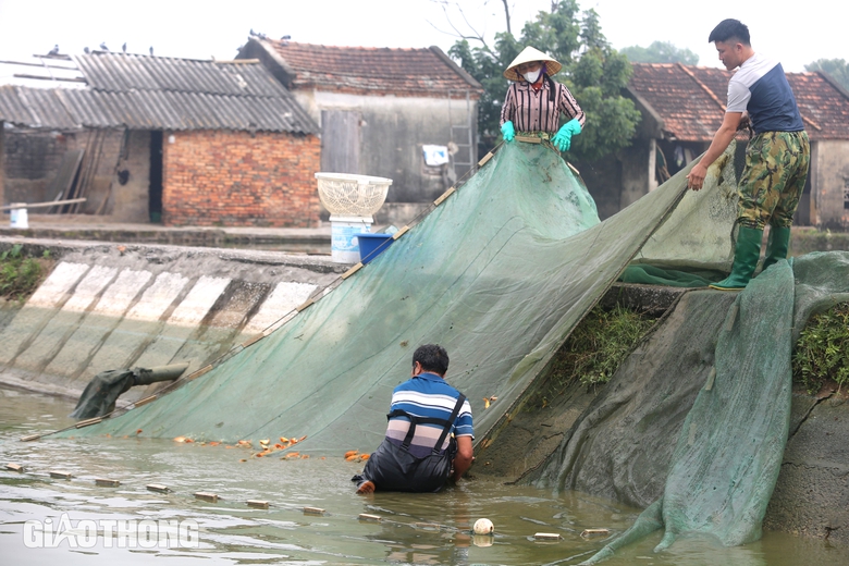 L&agrave;ng sản xuất "phương tiện" cho &ocirc;ng C&ocirc;ng, &ocirc;ng T&aacute;o hối hả thu hoạch- Ảnh 3.