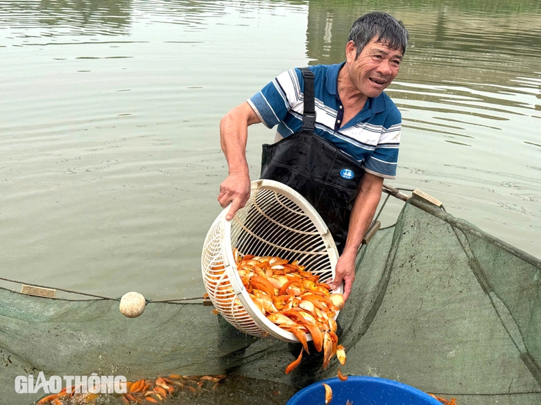 L&agrave;ng sản xuất "phương tiện" cho &ocirc;ng C&ocirc;ng, &ocirc;ng T&aacute;o hối hả thu hoạch- Ảnh 7.