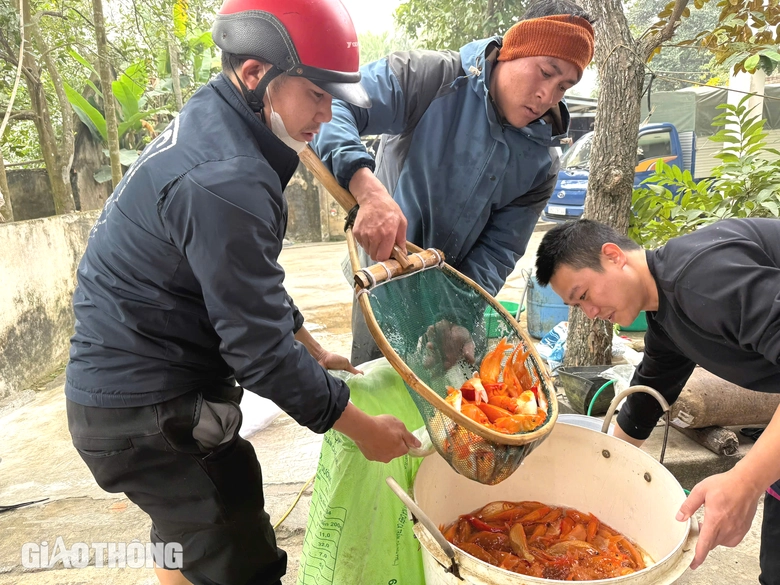 L&agrave;ng sản xuất "phương tiện" cho &ocirc;ng C&ocirc;ng, &ocirc;ng T&aacute;o hối hả thu hoạch- Ảnh 1.