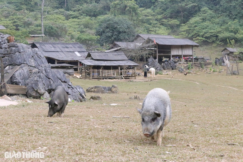 Kh&aacute;m ph&aacute; vẻ đẹp lạ kỳ &ldquo;l&agrave;ng nguy&ecirc;n thủy&rdquo; ở cao nguy&ecirc;n Mộc Ch&acirc;u- Ảnh 8.