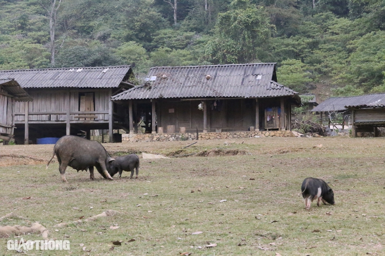 Kh&aacute;m ph&aacute; vẻ đẹp lạ kỳ &ldquo;l&agrave;ng nguy&ecirc;n thủy&rdquo; ở cao nguy&ecirc;n Mộc Ch&acirc;u- Ảnh 7.