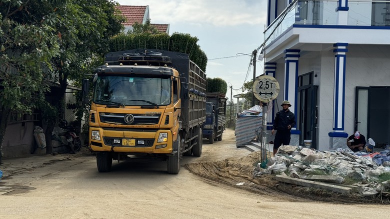 L&agrave;ng hoa c&uacute;c lớn nhất miền Trung tấp nập &ocirc; t&ocirc; "mang xu&acirc;n" ra thị th&agrave;nh- Ảnh 4.
