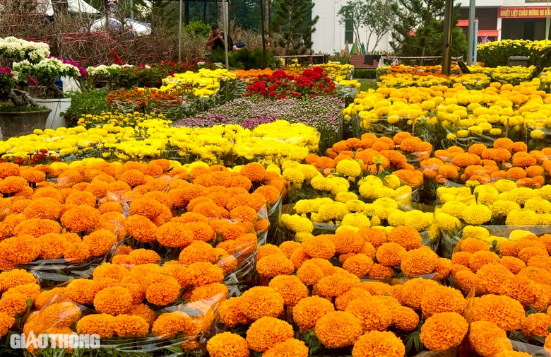 Chợ hoa Đồng Nai: Người xem đ&ocirc;ng, người mua &iacute;t- Ảnh 1.