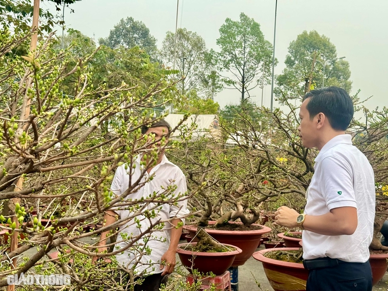 Chợ hoa Đồng Nai: Người xem đ&ocirc;ng, người mua &iacute;t- Ảnh 5.