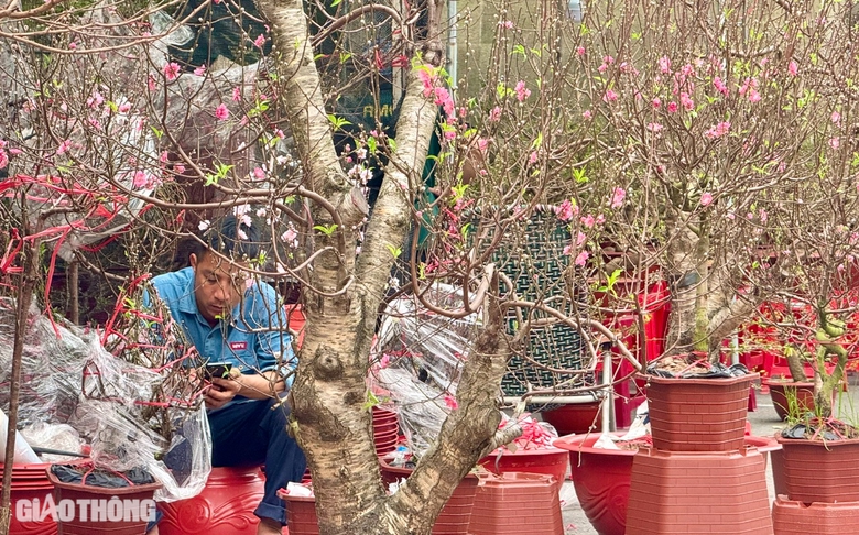 Chợ hoa Đồng Nai: Người xem đ&ocirc;ng, người mua &iacute;t- Ảnh 6.