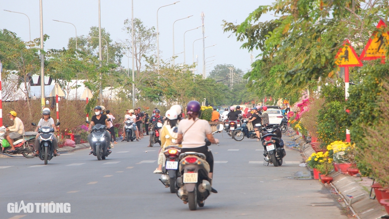 Chợ hoa kiểng Bạc Li&ecirc;u nhộn nhịp ng&agrave;y gi&aacute;p Tết- Ảnh 8.