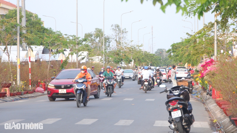 Chợ hoa kiểng Bạc Li&ecirc;u nhộn nhịp ng&agrave;y gi&aacute;p Tết- Ảnh 9.