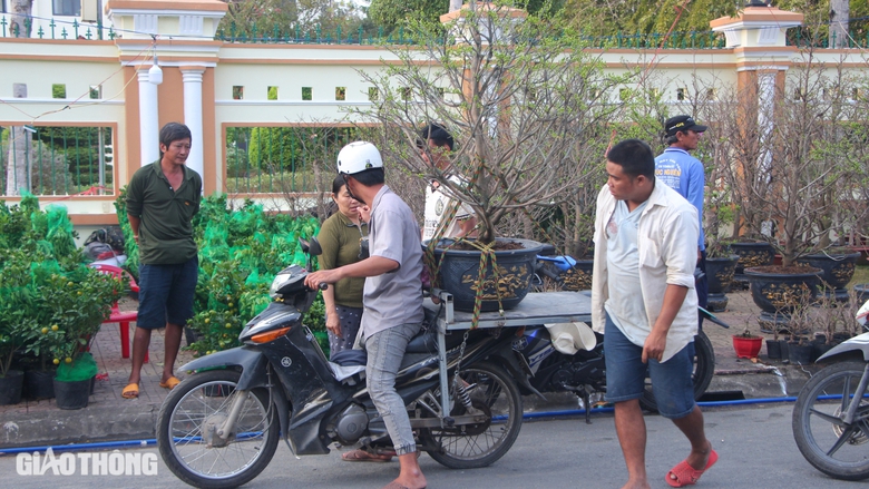Chợ hoa kiểng Bạc Li&ecirc;u nhộn nhịp ng&agrave;y gi&aacute;p Tết- Ảnh 5.