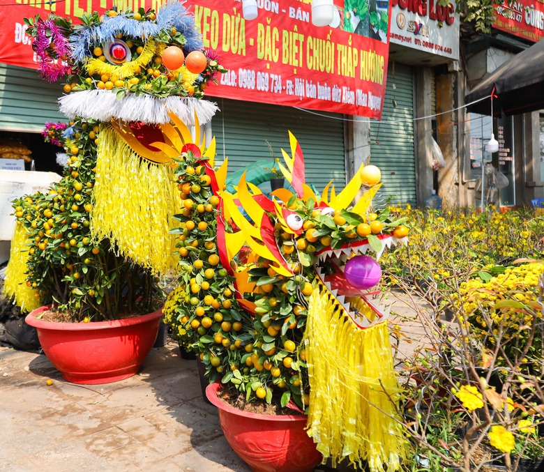 Độc lạ quất d&aacute;t v&agrave;ng gi&aacute; v&agrave;i triệu đồng ở H&agrave; Nội- Ảnh 12.