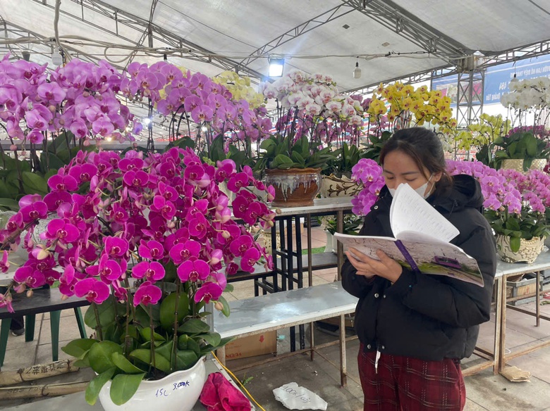 Quảng Ninh: Đ&agrave;o quất đắt h&agrave;ng, người b&aacute;n l&atilde;i cả trăm triệu đồng- Ảnh 5.