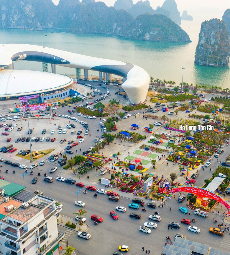 Quảng Ninh: Đ&agrave;o quất đắt h&agrave;ng, người b&aacute;n l&atilde;i cả trăm triệu đồng- Ảnh 1.