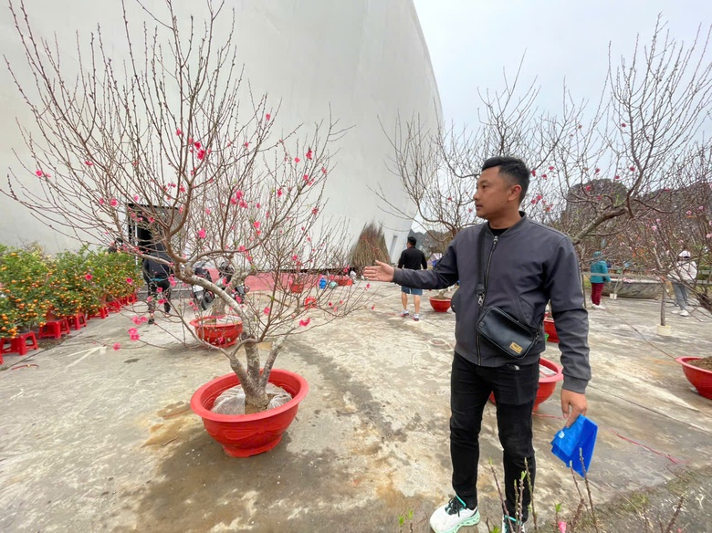 Quảng Ninh: Đ&agrave;o quất đắt h&agrave;ng, người b&aacute;n l&atilde;i cả trăm triệu đồng- Ảnh 2.