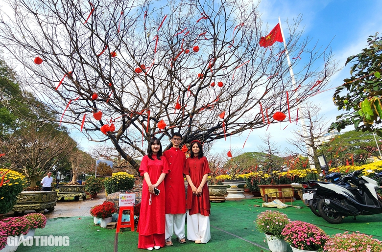 Người dân thích thú tạo dáng dưới gốc mai già được rao bán 3 tỷ- Ảnh 4. Người dân thích thú tạo dáng dưới gốc mai già được rao bán 3 tỷ- Ảnh 4.