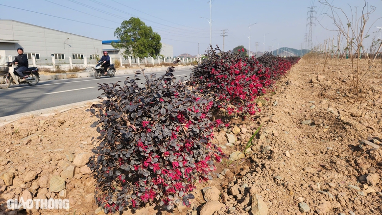 Xu&acirc;n vui đầu ti&ecirc;n tr&ecirc;n tuyến đường hơn 3.700 tỷ đồng ở H&agrave; Nam- Ảnh 11.