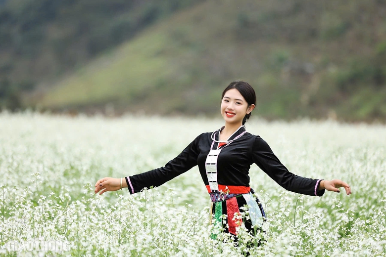 Du kh&aacute;ch th&iacute;ch th&uacute; "săn" ảnh với hoa cải trắng, vườn cam v&agrave;ng ở Mộc Ch&acirc;u- Ảnh 1.