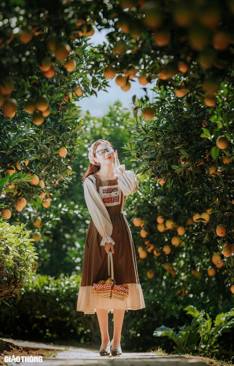 Du kh&aacute;ch th&iacute;ch th&uacute; "săn" ảnh với hoa cải trắng, vườn cam v&agrave;ng ở Mộc Ch&acirc;u- Ảnh 7.