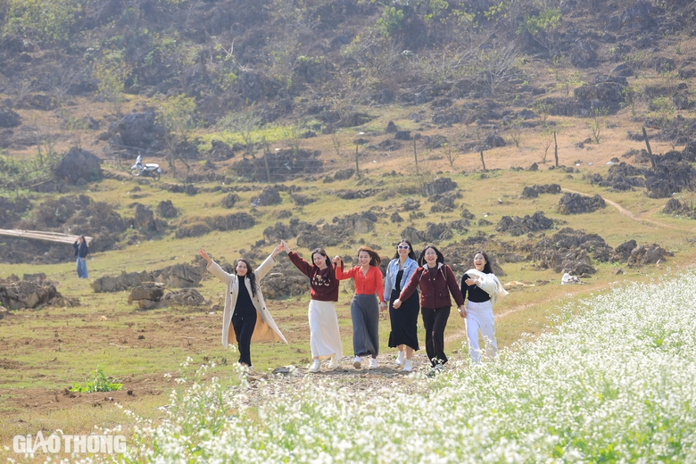 Du kh&aacute;ch th&iacute;ch th&uacute; "săn" ảnh với hoa cải trắng, vườn cam v&agrave;ng ở Mộc Ch&acirc;u- Ảnh 6.