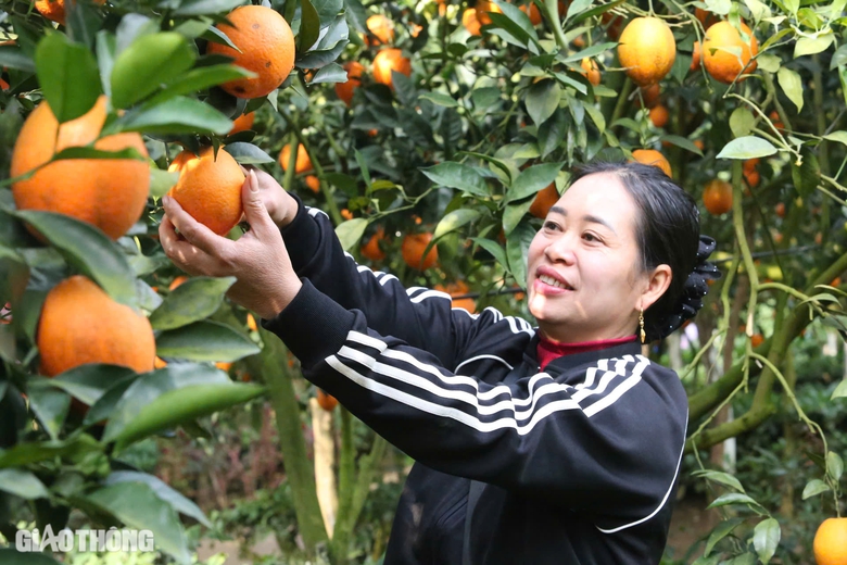 Du kh&aacute;ch th&iacute;ch th&uacute; "săn" ảnh với hoa cải trắng, vườn cam v&agrave;ng ở Mộc Ch&acirc;u- Ảnh 12.