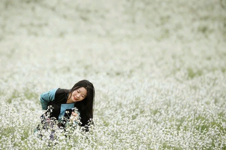 Du kh&aacute;ch th&iacute;ch th&uacute; "săn" ảnh với hoa cải trắng, vườn cam v&agrave;ng ở Mộc Ch&acirc;u- Ảnh 4.