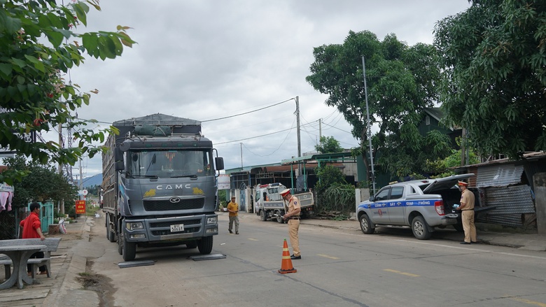 Gia Lai: Xử phạt nặng nhưng t&agrave;i xế vẫn l&eacute;n l&uacute;t chở qu&aacute; khổ, qu&aacute; tải- Ảnh 1.