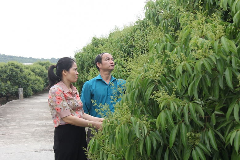 Bắc Ninh: X&atilde; Lục Ngạn n&acirc;ng tầm n&ocirc;ng th&ocirc;n mới để ph&aacute;t triển đ&ocirc; thị văn minh- Ảnh 3.