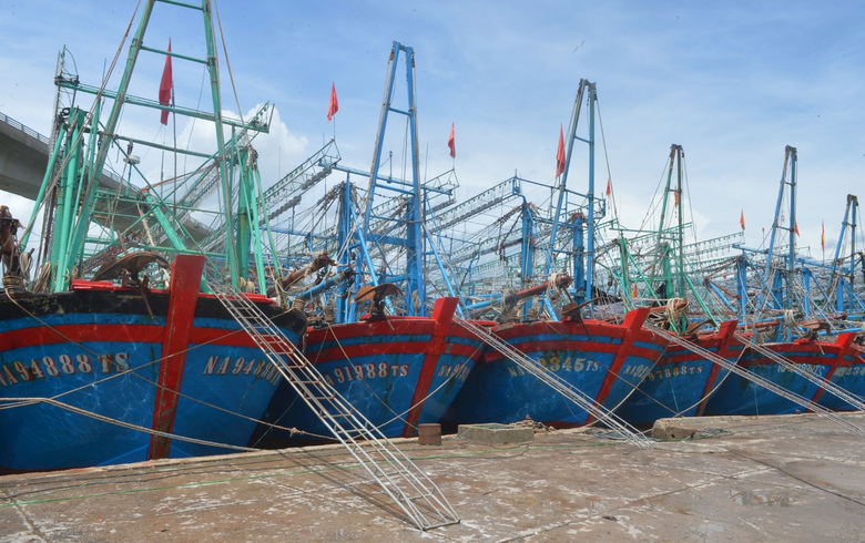Thiếu nơi neo đậu t&agrave;u thuyền tr&aacute;nh tr&uacute; b&atilde;o, ngư d&acirc;n Nghệ An "k&ecirc;u cứu"- Ảnh 1.