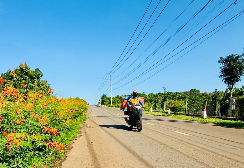 Các xã cửa ngõ Đồng Nai rực rỡ đường hoa, thi đua xây dựng nông thôn mới hiện đại- Ảnh 5. Các xã cửa ngõ Đồng Nai rực rỡ đường hoa, thi đua xây dựng nông thôn mới hiện đại- Ảnh 5.