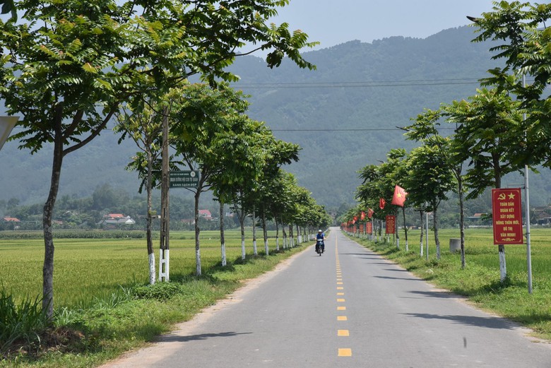 N&ocirc;ng th&ocirc;n mới: Đề xuất 80% tuyến đường đạt chuẩn đ&ocirc; thị- Ảnh 1.