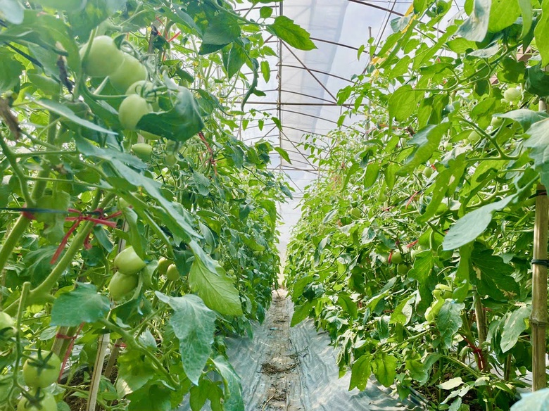Sơn La x&acirc;y dựng n&ocirc;ng th&ocirc;n mới gắn với ba chương tr&igrave;nh mục ti&ecirc;u quốc gia- Ảnh 1.
