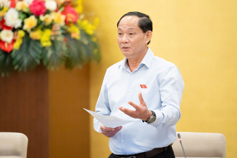 Đề nghị c&acirc;n nhắc đề xuất ph&acirc;n quyền quyết định quy hoạch- Ảnh 4.