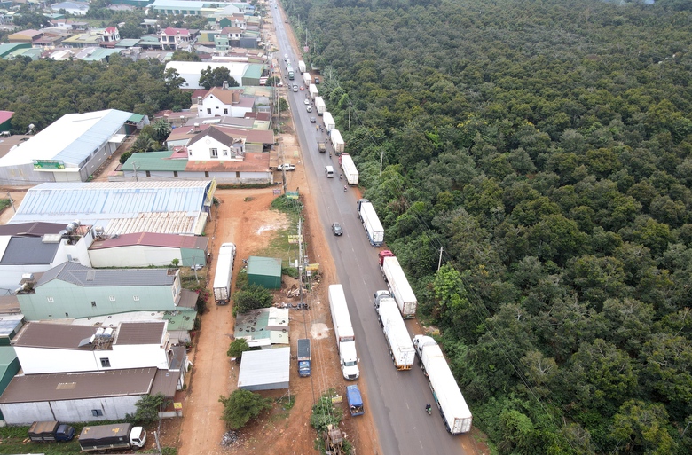 Đắk Lắk: CSGT tăng cường xử l&yacute; xe container chở sầu ri&ecirc;ng đậu đỗ tr&aacute;i ph&eacute;p tr&ecirc;n quốc lộ 26- Ảnh 1.